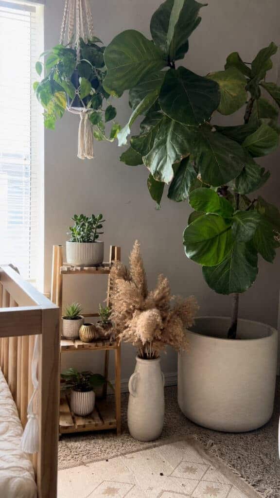 Incorporate Plenty of Plants