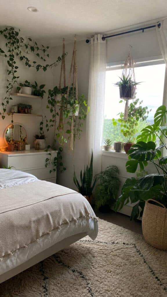 Plants, Plants, and More Plants