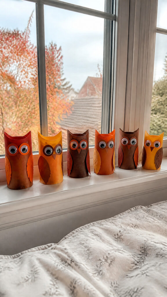Toilet Paper Roll Owls