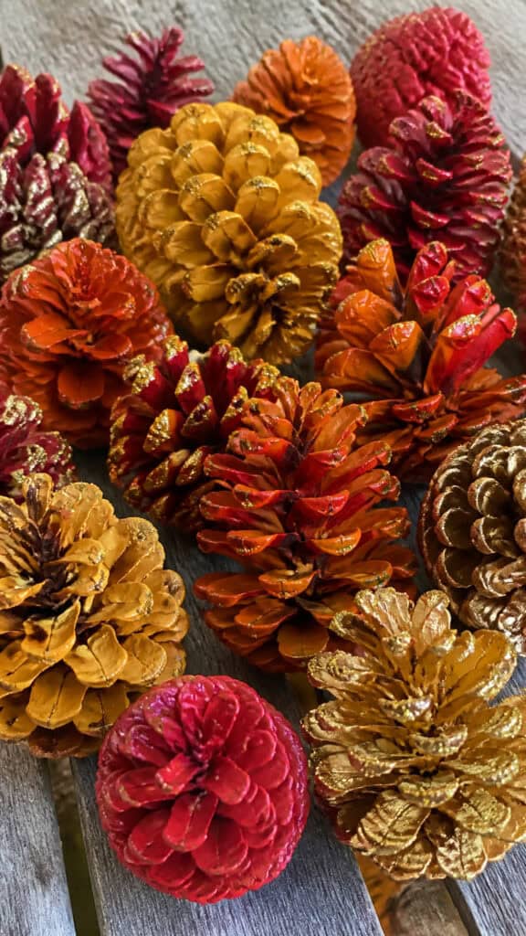 Painted Pinecone Decorations