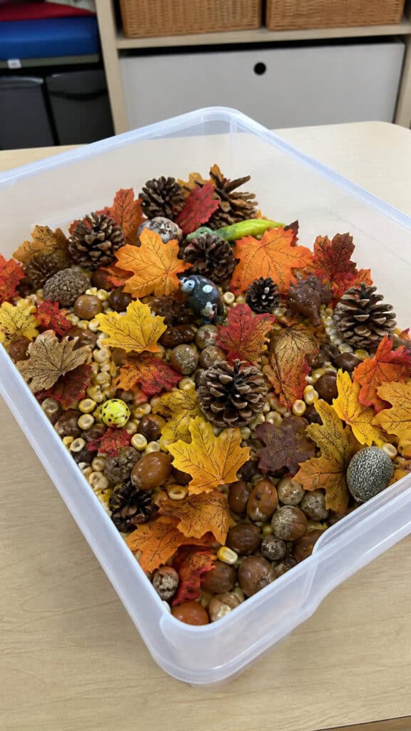 Nature-Inspired Sensory Bins